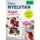 PONS Képes nyelvtan - Angol (Astrid Proctor)