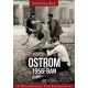 Ostrom 1956-ban /A Köztársaság tér emlékezete (Tulipán Éva)