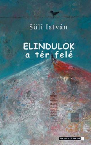 Elindulok a tér felé - Süli István