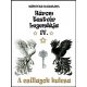 A csillagok kulcsa - Három testvér legendája 4. - Könyves Karolina