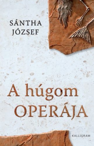 A HÚGOM OPERÁJA