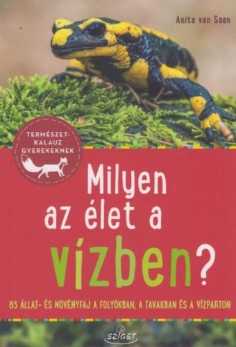 Milyen az élet a vízben? - Anita van Saan