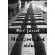 Napszentület után - Bíró József