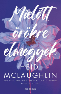 Mielőtt örökre elmegyek - Heidi McLaughlin