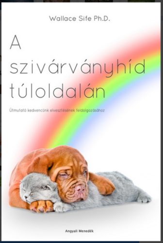 A szivárványhíd túloldalán - Wallace Sife