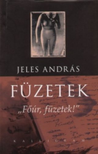 Füzetek - Főúr, füzetek! - Jeles András