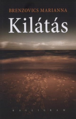 Kilátás - Brenzovics Marianna