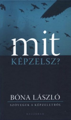 Mit képzelsz? - Bóna László