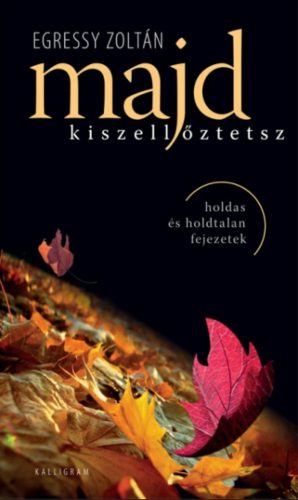 Majd kiszellőztetsz - Holdas és holdtalan fejezetek - Egressy Zoltán