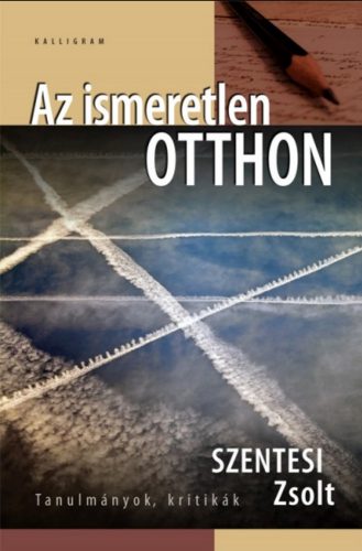 Az ismeretlen otthon - Szentesi Zsolt