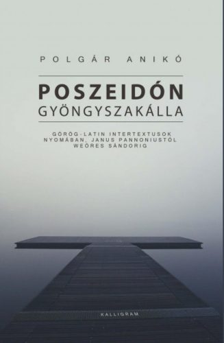 Poszeidón gyöngyszakálla - Polgár Anikó