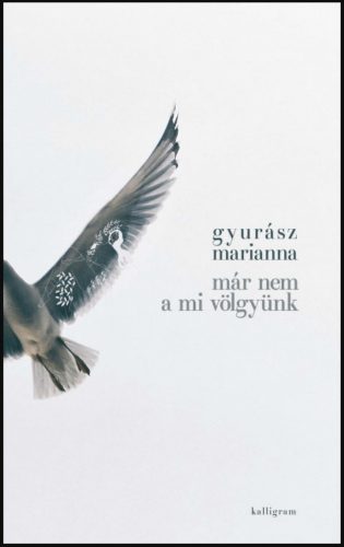 Már nem a mi völgyünk - Gyurász Marianna