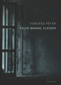 Veled marad, elkísér - Forgács Péter