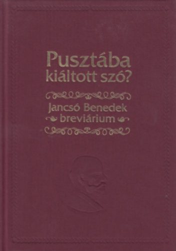 Pusztába kiáltott szó? - Jancsó Benedek