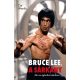 Bruce Lee, a sárkány - Aki az égbolton átsuhan... (Cai Wanliu)