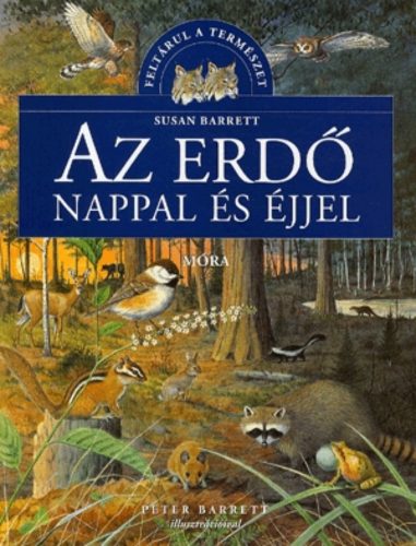 Az erdő nappal és éjjel - Susan Barrett