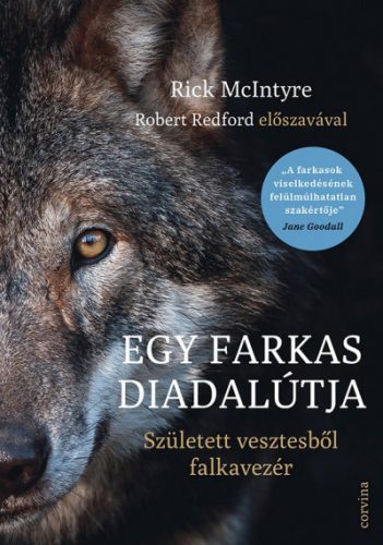 Egy farkas diadalútja - Rick McIntyre