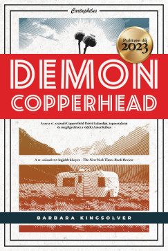 Demon Copperhead - Barbara Kingsolver