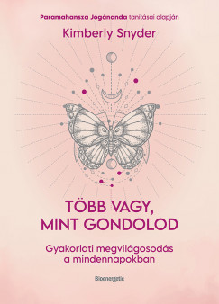 Több vagy, mint gondolod - Kimberly Snyder