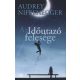 Az időutazó felesége - Audrey Niffenegger