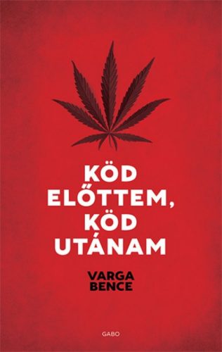 Varga Bence: Köd előttem, köd utánam