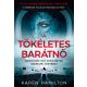 A tökéletes barátnő (Karen Hamilton)