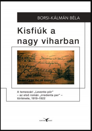 Kisfiúk a nagy viharban - Borsi-Kálmán Béla