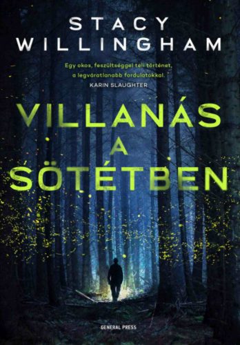 Villanás a sötétben - Stacy Willingham