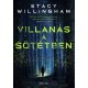 Villanás a sötétben - Stacy Willingham