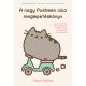 A nagy Pusheen cica meglepetéskönyv (Claire Belton)