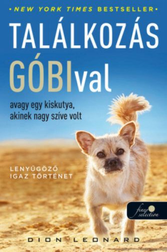 Találkozás Góbival, avagy egy kiskutya, akinek nagy szíve volt (Dion Leonard)