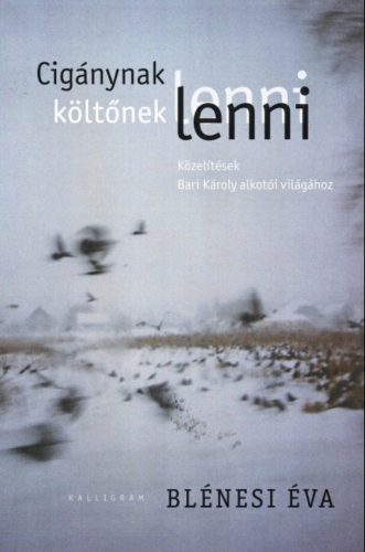 Cigánynak lenni, költőnek lenni - Közelítések Bari Károly költészetéhez