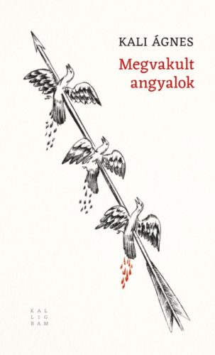 Megvakult angyalok - Kali Ágnes