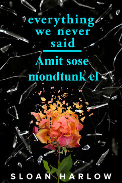 Everything We Never Said - Amit sose mondtunk el - Sloan Harlow