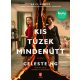 Kis tüzek mindenütt - Celeste Ng