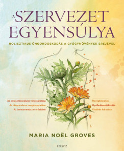 A szervezet egyensúlya - Maria Noel Groves