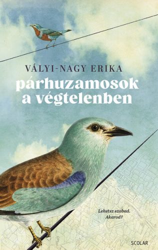 Párhuzamosok a végtelenben - Vályi-Nagy Erika