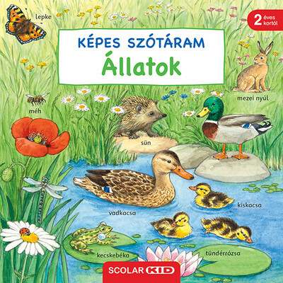 Képes szótáram - Állatok - Susanne Gernhauser