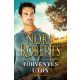 A MacKade Fivérek 2. - Törvényes úton - Nora Roberts