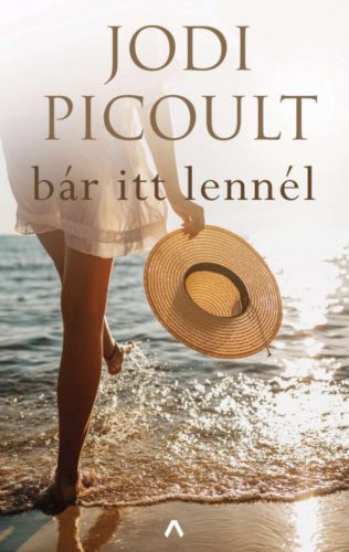 Bár itt lennél - Jodi Picoult