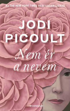 Nem ér a nevem - Jodi Picoult