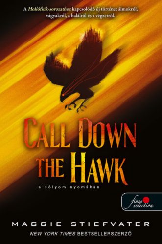 Call Down the Hawk - A sólyom nyomában - Maggie Stiefvater