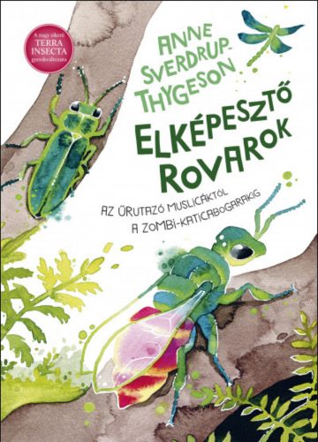 Elképesztő rovarok - Anne Sverdrup-Thygeson