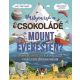 Milyen ízű a csokoládé a Mount Everesten? - Leisa Steawart-Sharpe