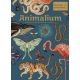 Animalium -  Üdvözlünk a múzeumban! - Katie Scott