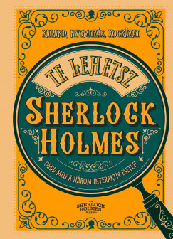 Te lehetsz Sherlock Holmes - Richard Wolfrik Galland