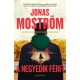 A negyedik férfi - Jonas Moström