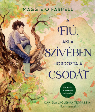 A fiú, aki a szívében hordozta a csodát - Maggie O'Farrell