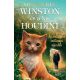 Winston és a kis Houdini - Megan Rix