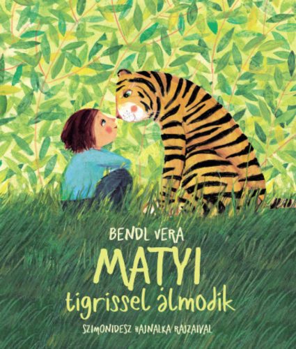 Matyi tigrissel álmodik - Bendl Vera